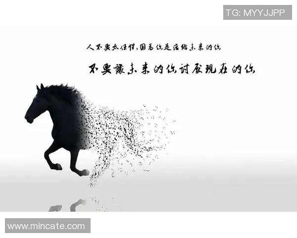 探索足球书籍的魅力与智慧让我们一起领略绿茵场上的精彩与人生哲理